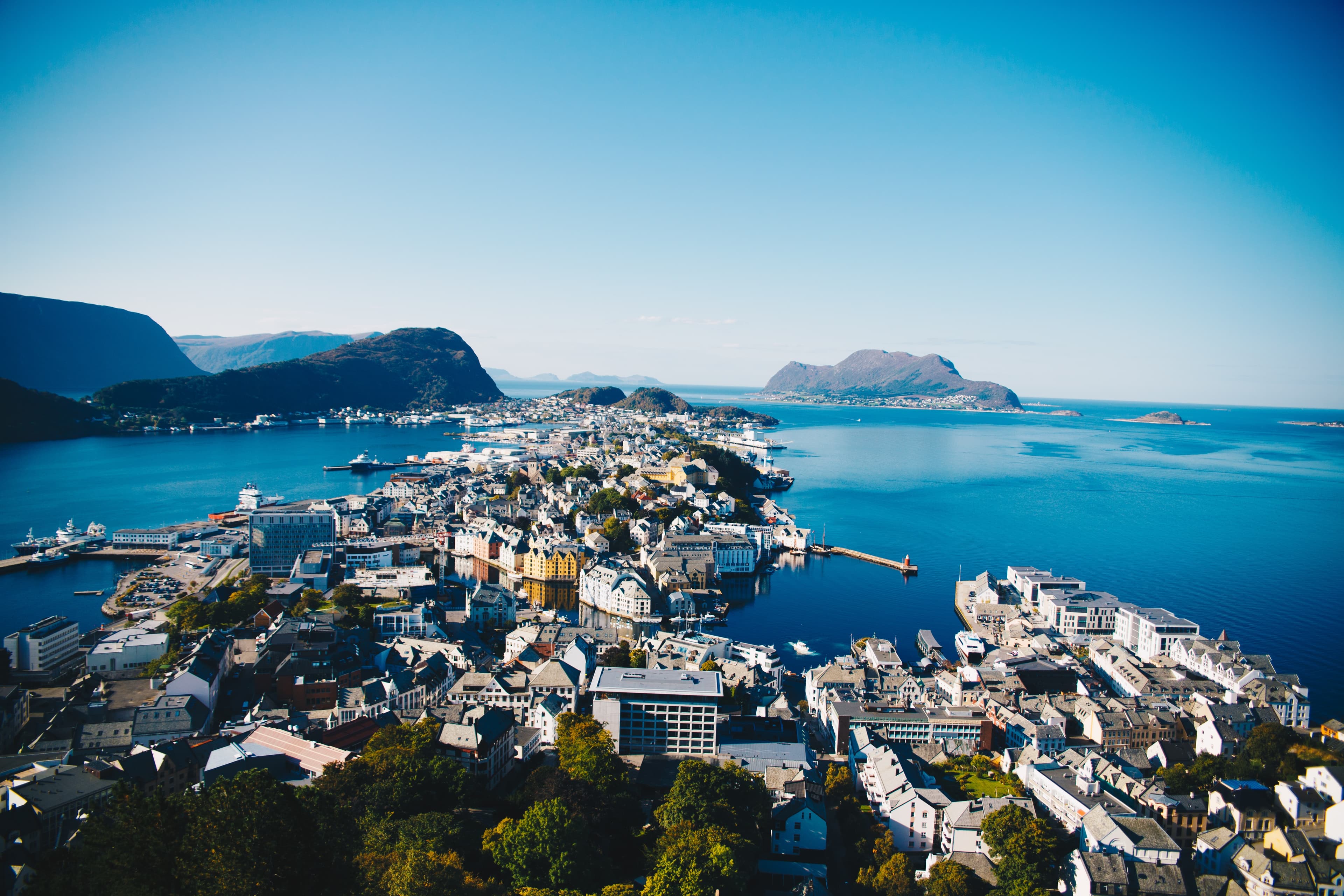 Norwegian Fjords, Wildlife of Svalbard & The Arctic