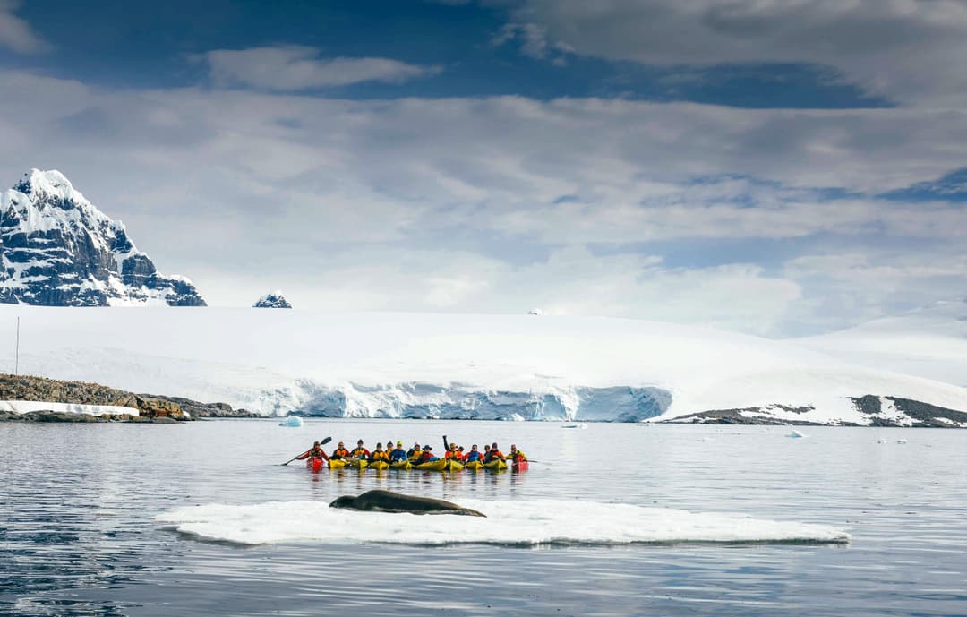 Quark Expeditions Sea Kayaking Antarctic Kayaking David Merron