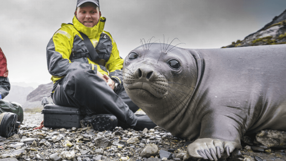 Oceanwide Expeditions Excursions Nature Environment.png