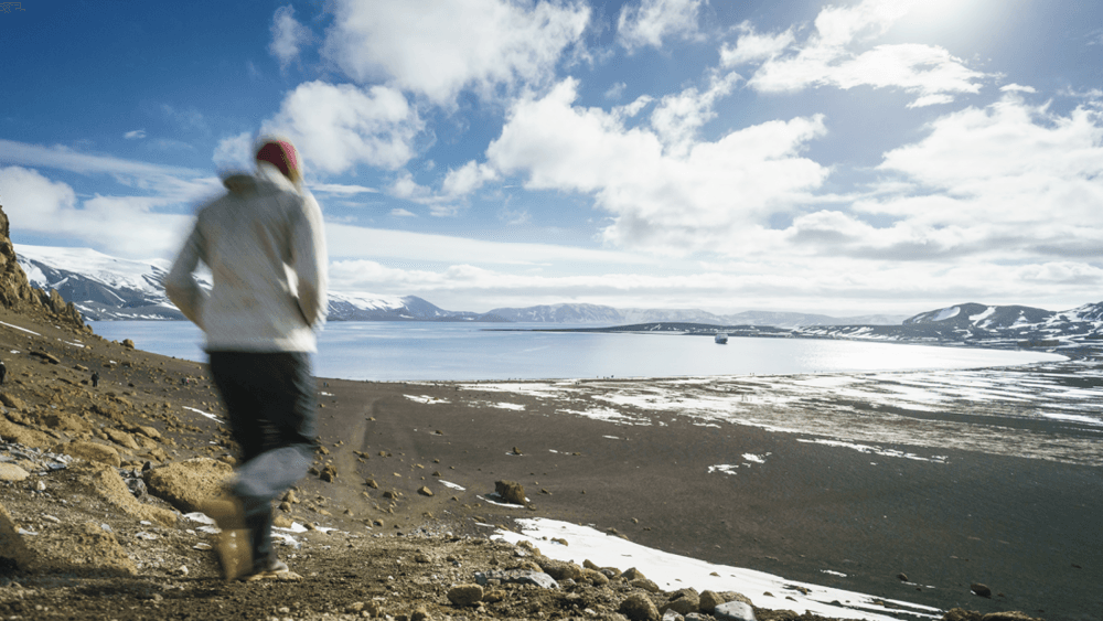Oceanwide Expeditions Nature Environment.png