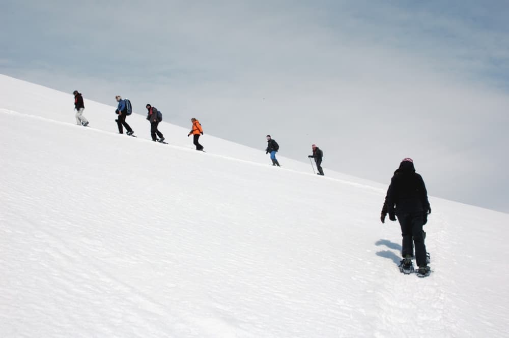 Oceanwide Expeditions Snowshoeing .jpeg