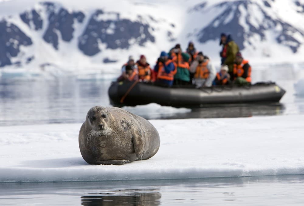 Oceanwide Expeditions Excursions Zodiac cruising Wildlife spotting_Franco Banfi.jpeg