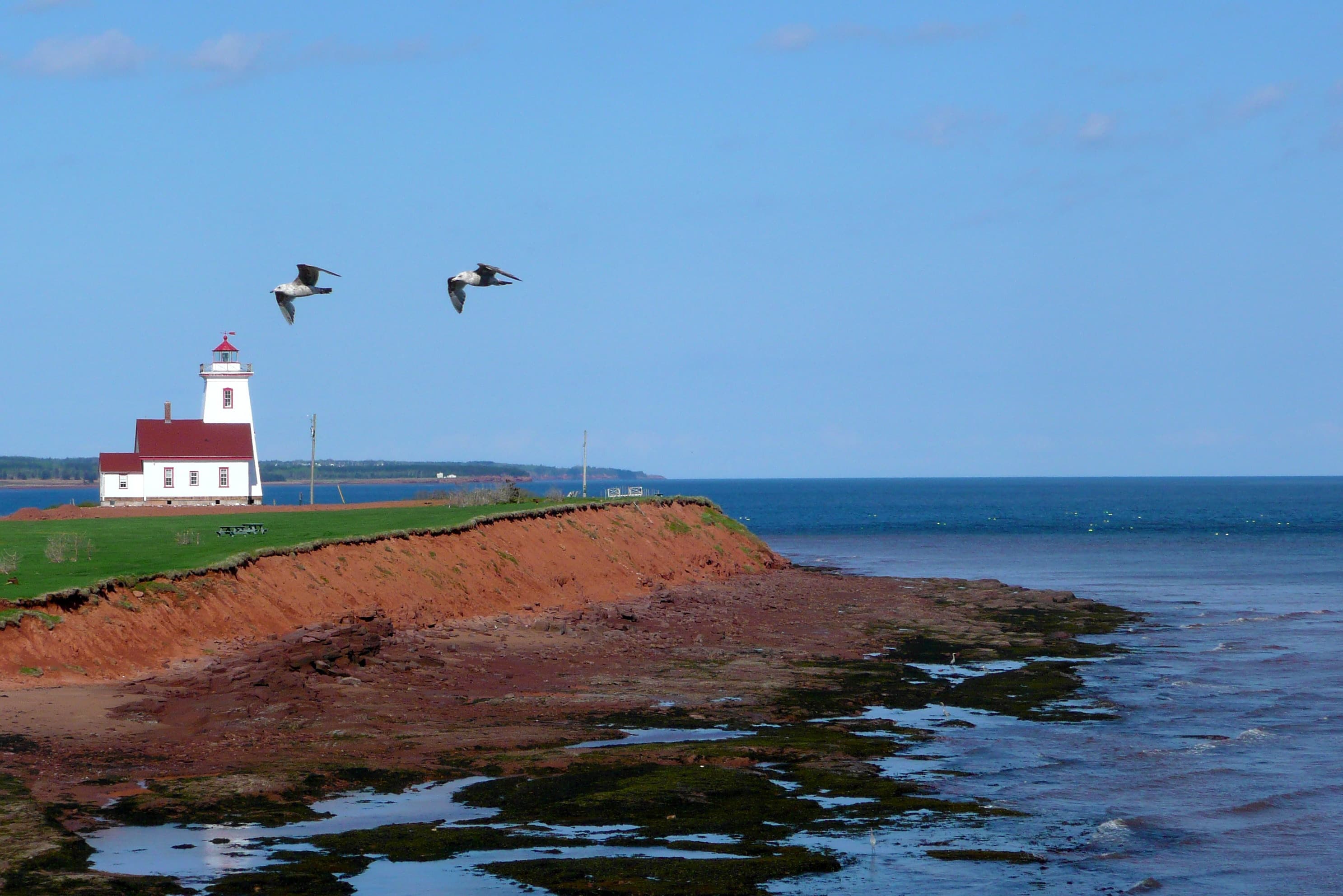 26-Day Iceland, Greenland & Gulf Of St. Lawrence Crossing
