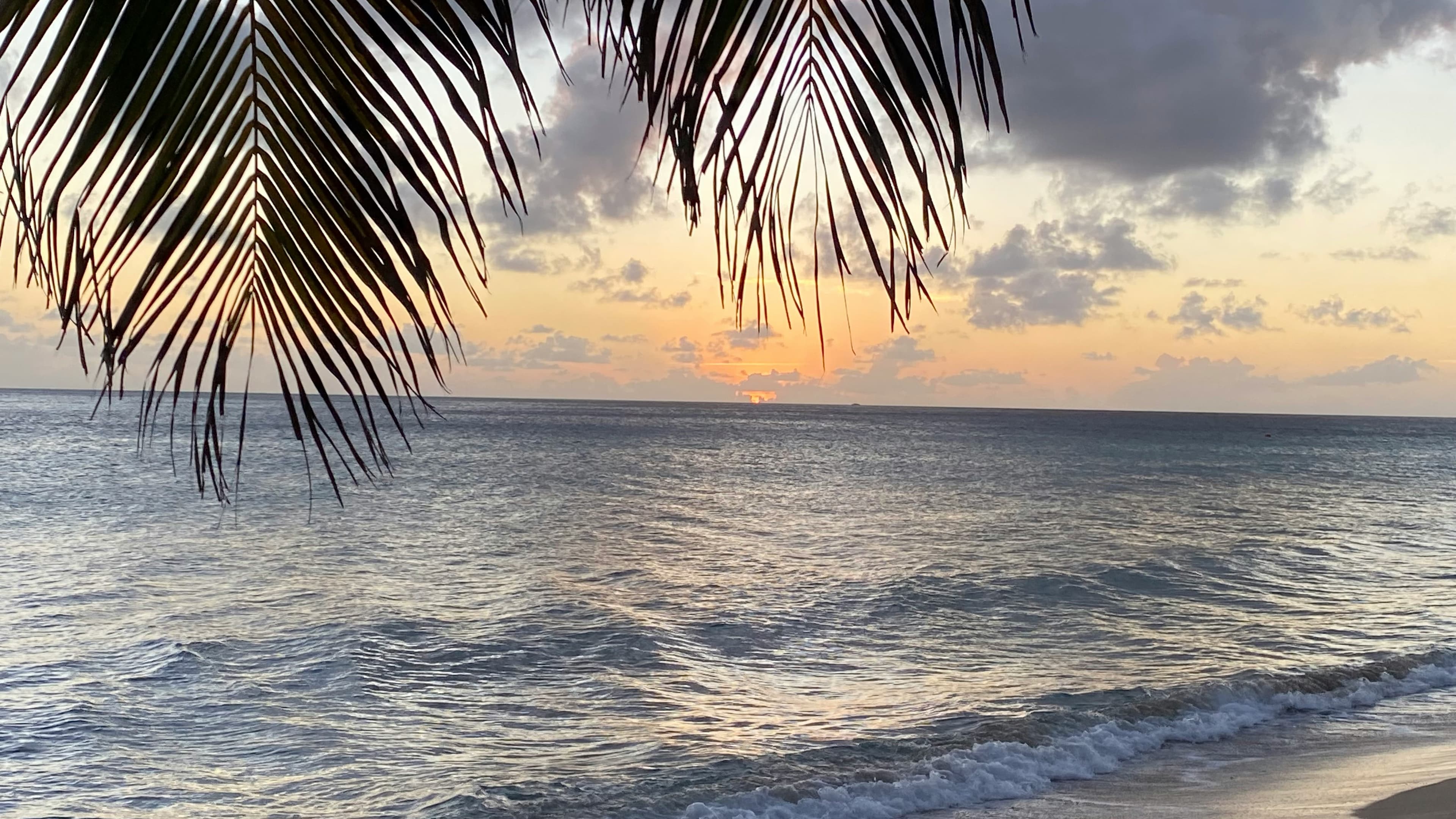 52-Day Arctic Expeditions & Southern Caribbean Harbors