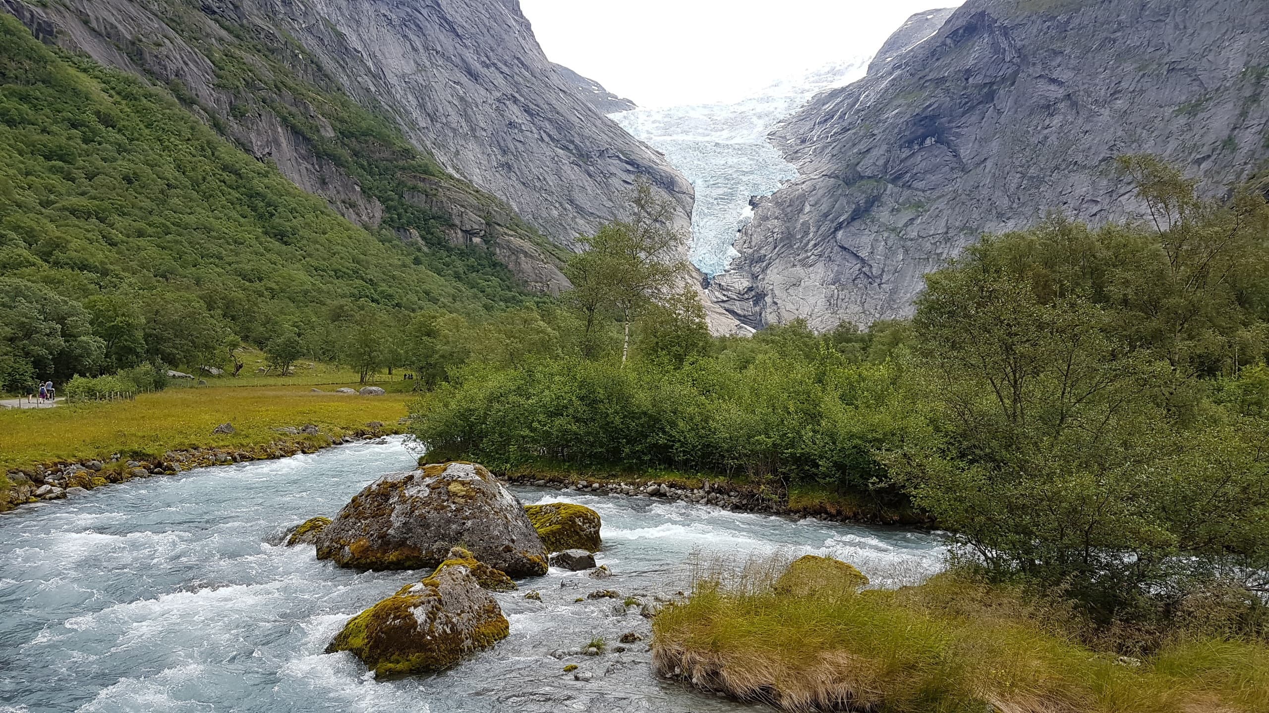 Norwegian Fjords, Wildlife of Svalbard & The Arctic