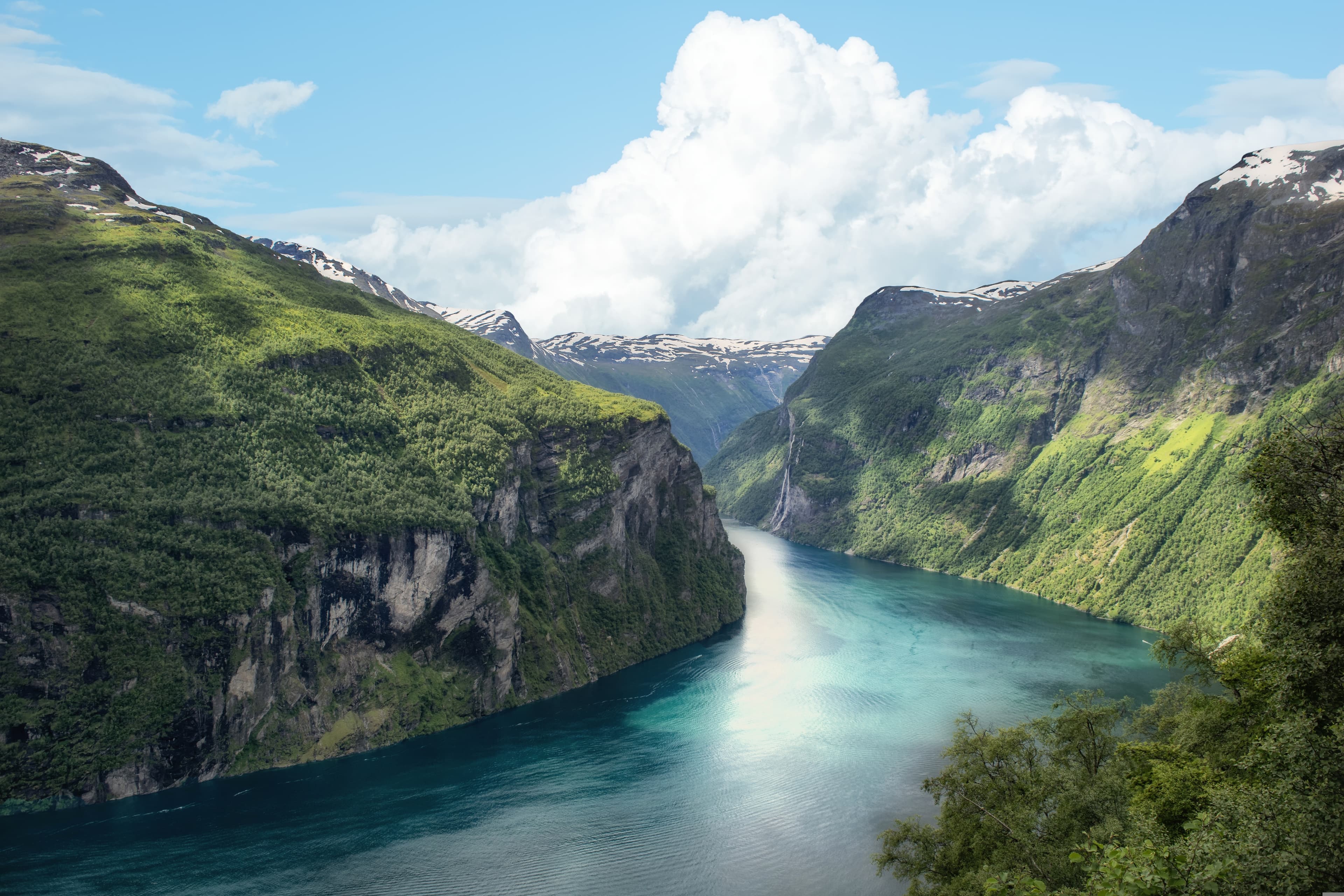 Norwegian Fjords, Wildlife of Svalbard & The Arctic Circle