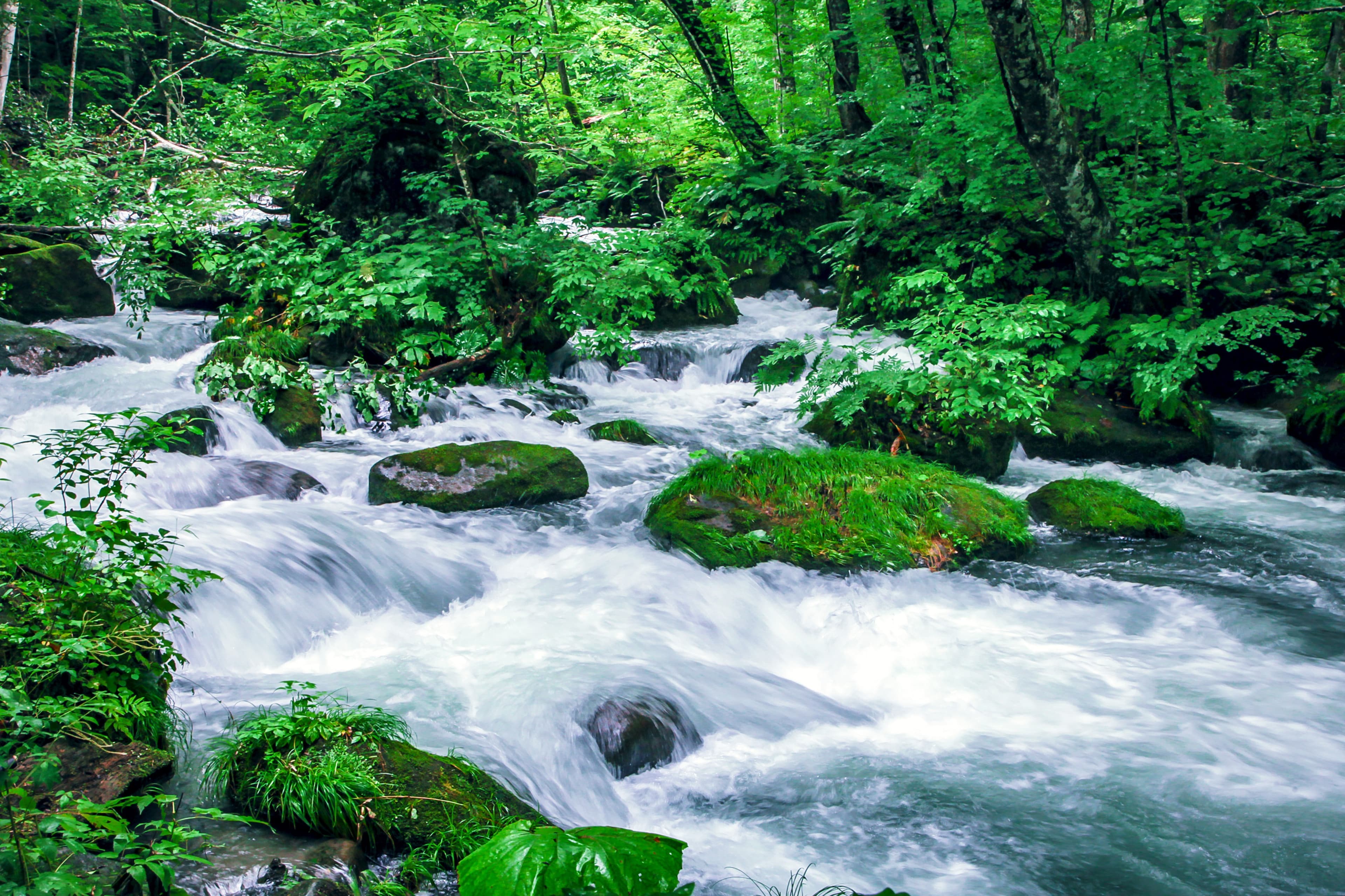 34-Day Alaska, Pacific Crossing & Autumn Reverie