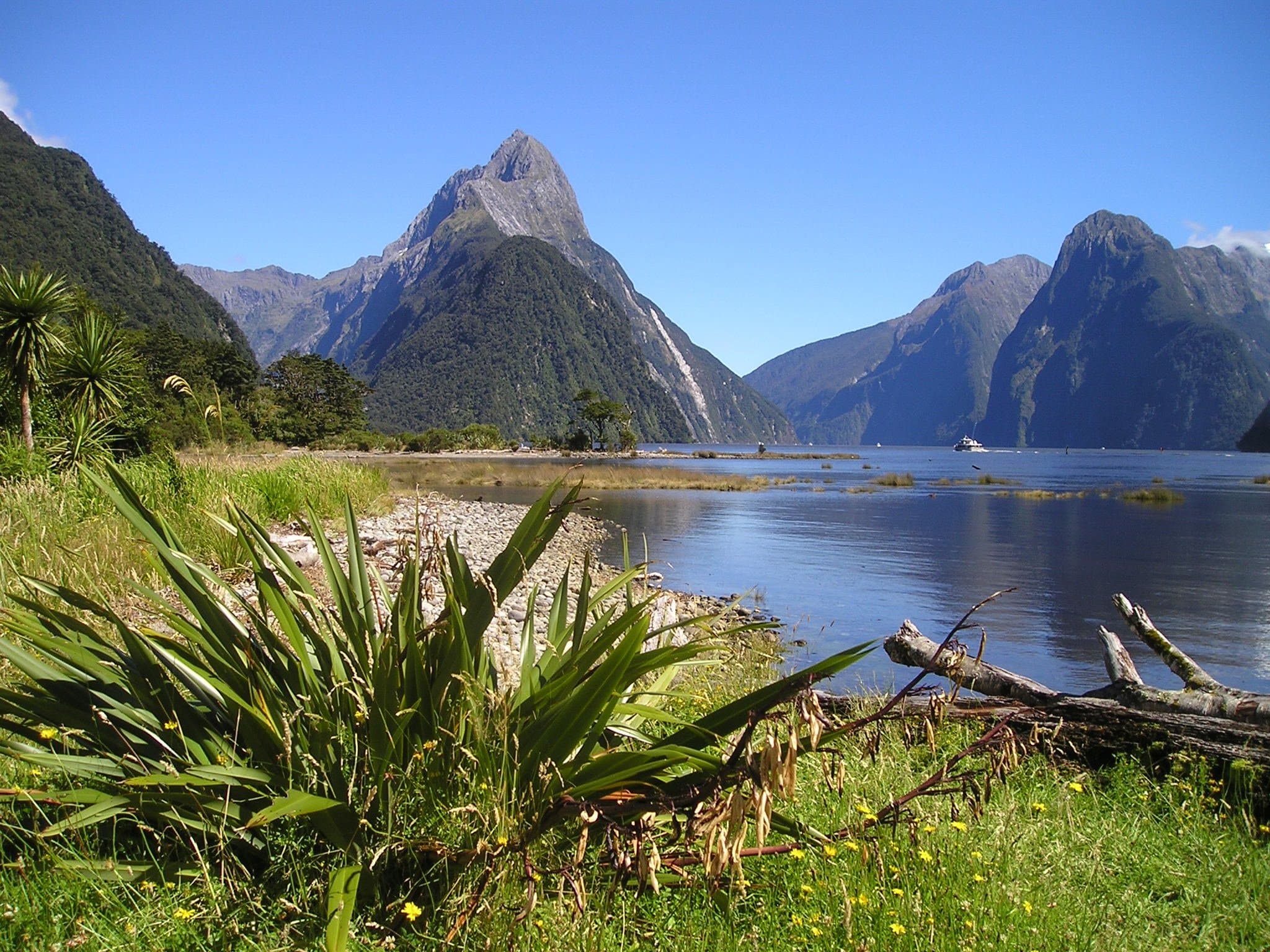 Beyond Fiordland
