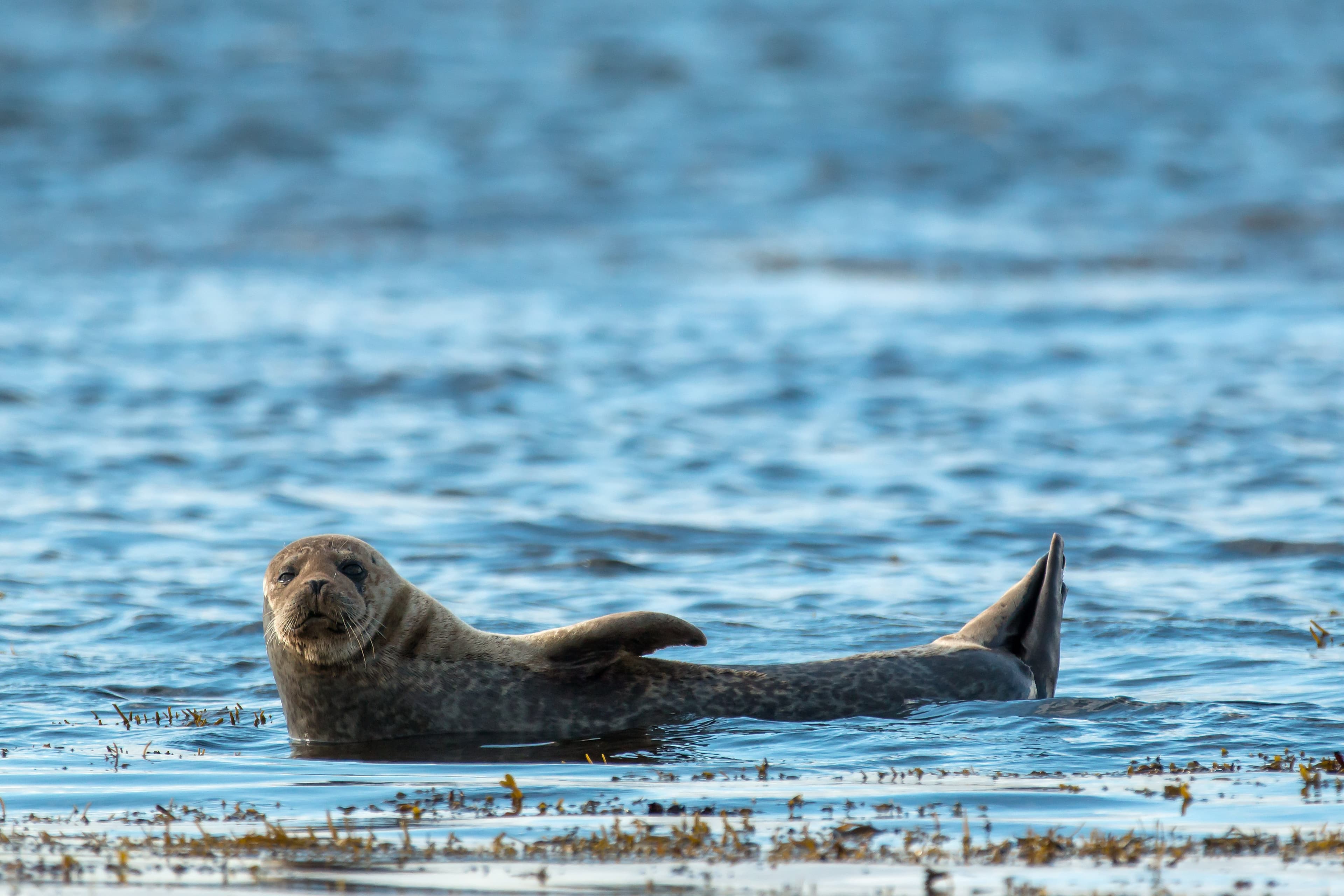 14-Day Glacier Bay, Fjords & Inside Passage