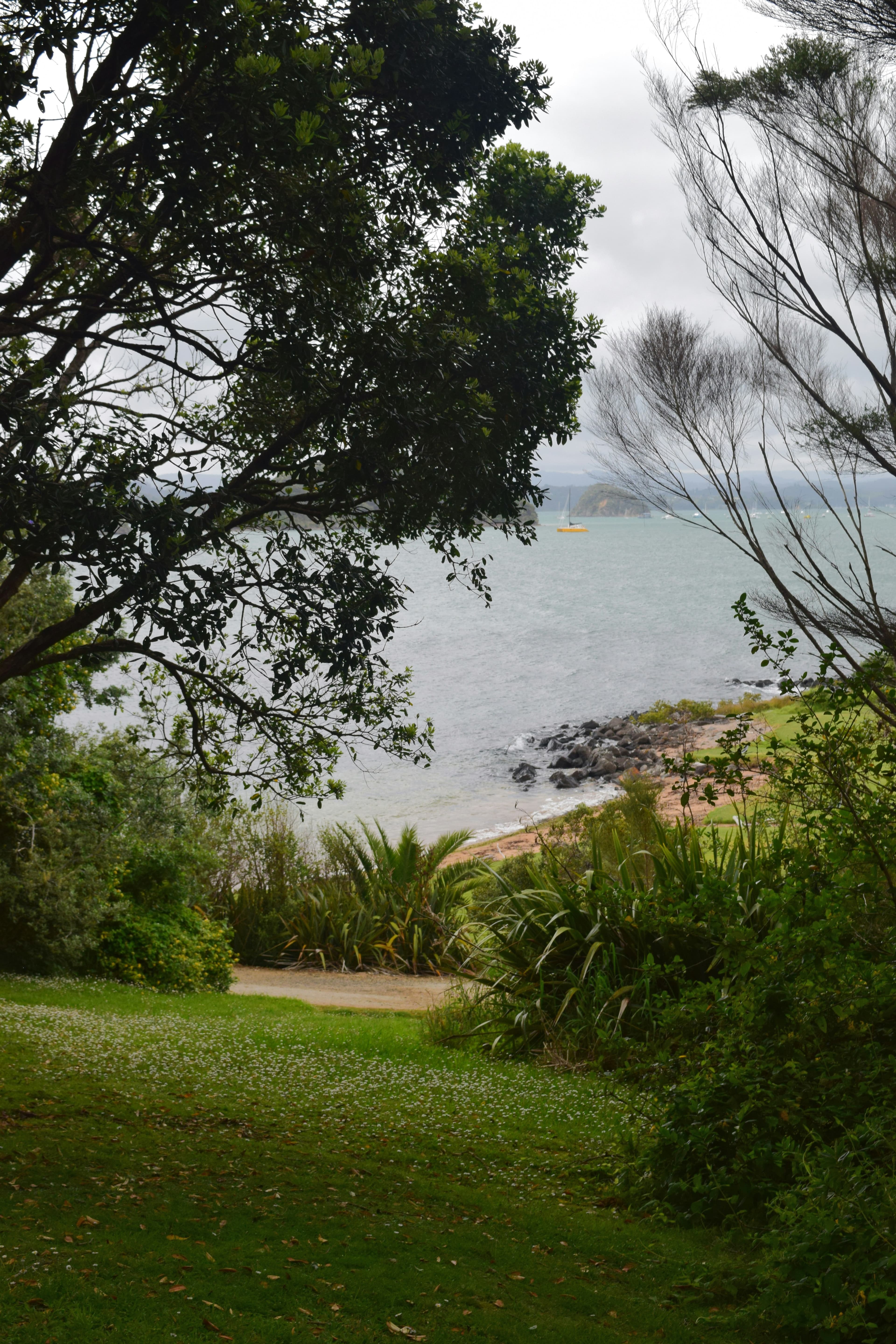 Birding Down Under