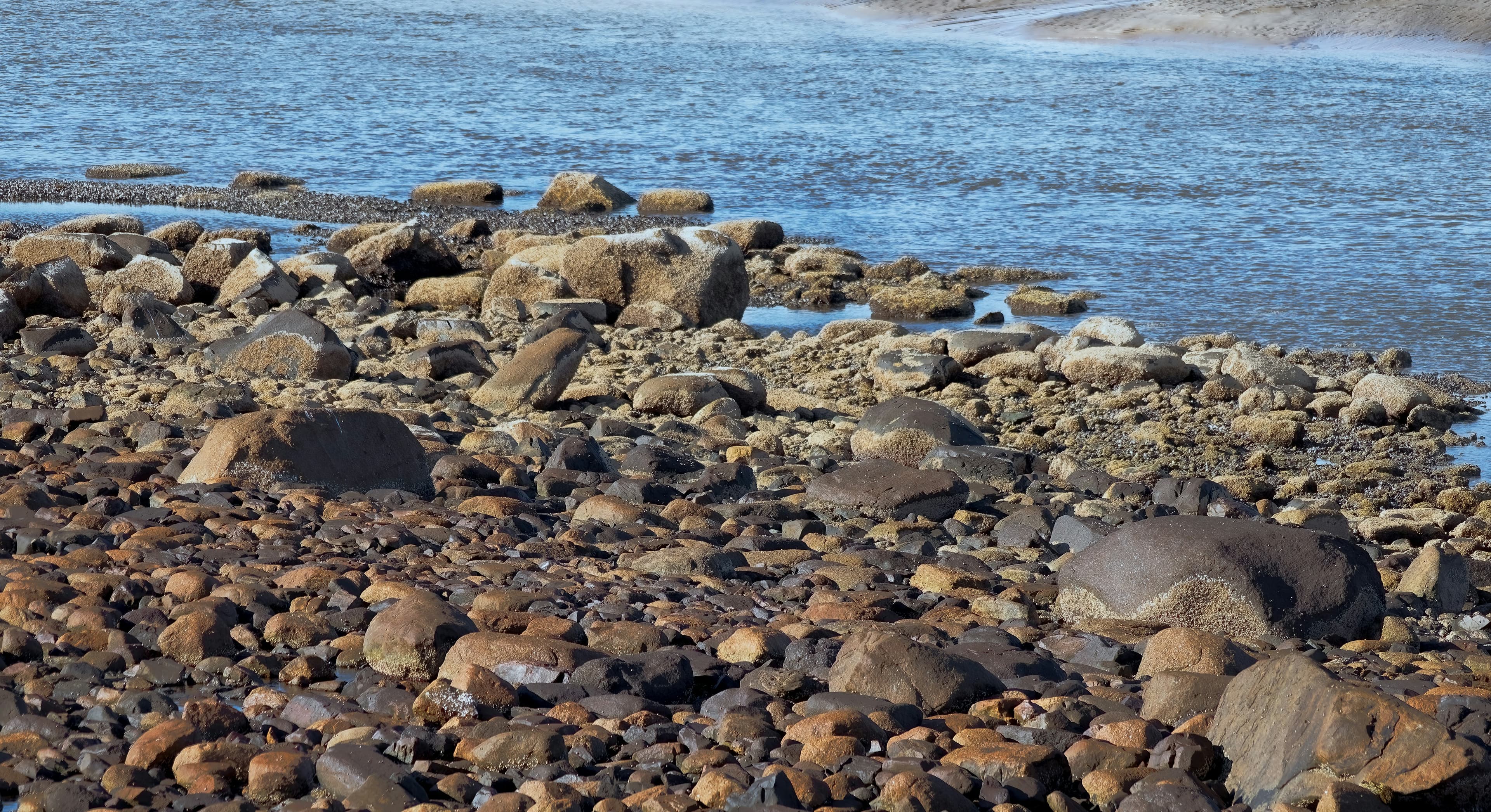 Ellesmere Island & North Greenland: Journey to the Top of the World