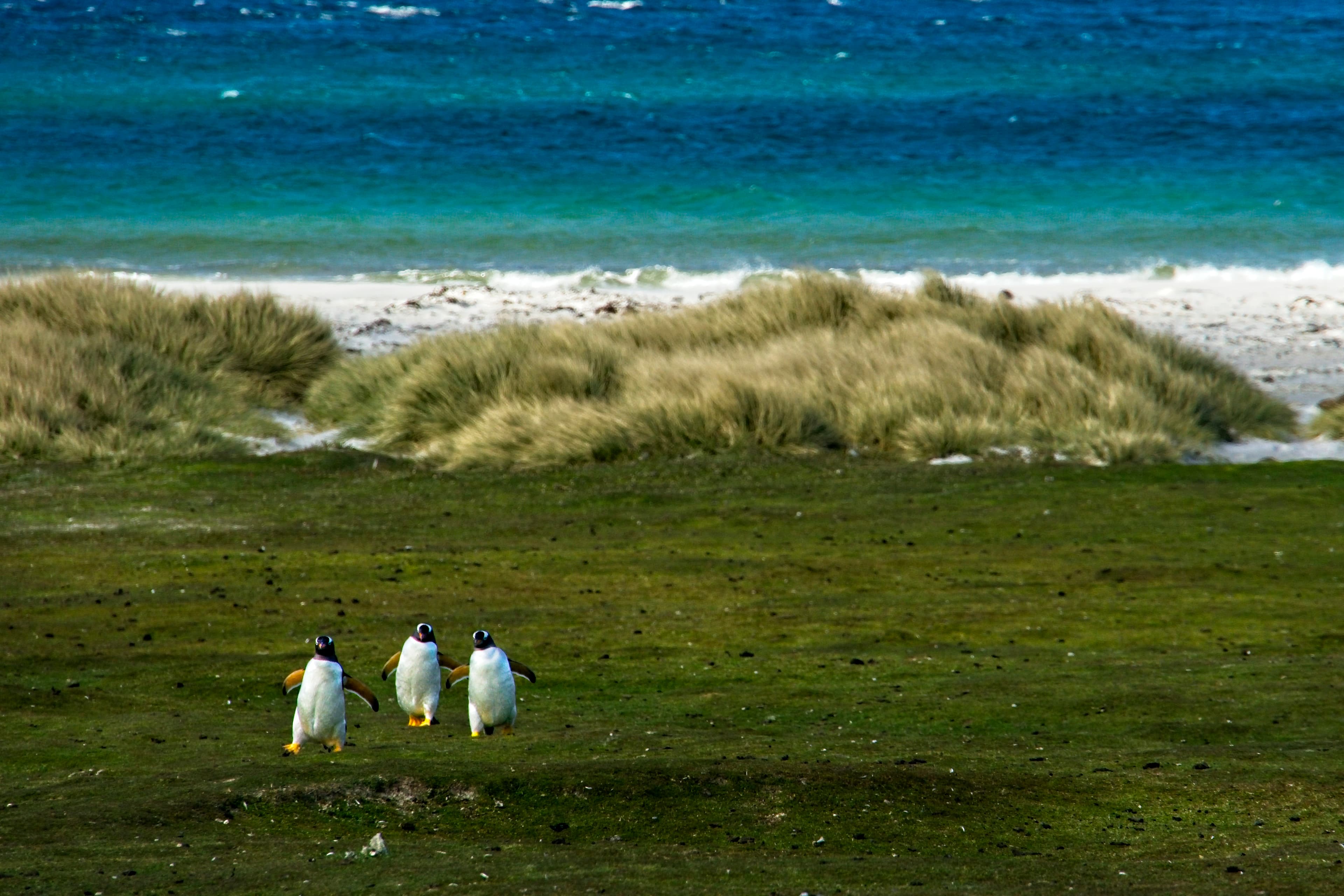 Ushuaia Roundtrip