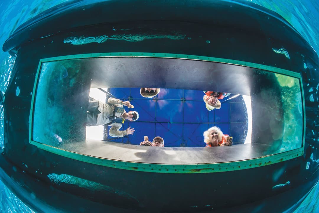 Ng Le Ng Orion Glass Bottom ©Lindblad Expeditions Michael S. Nolan