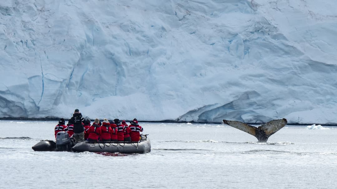 Polar Latitudes - Excursions 7.jpg