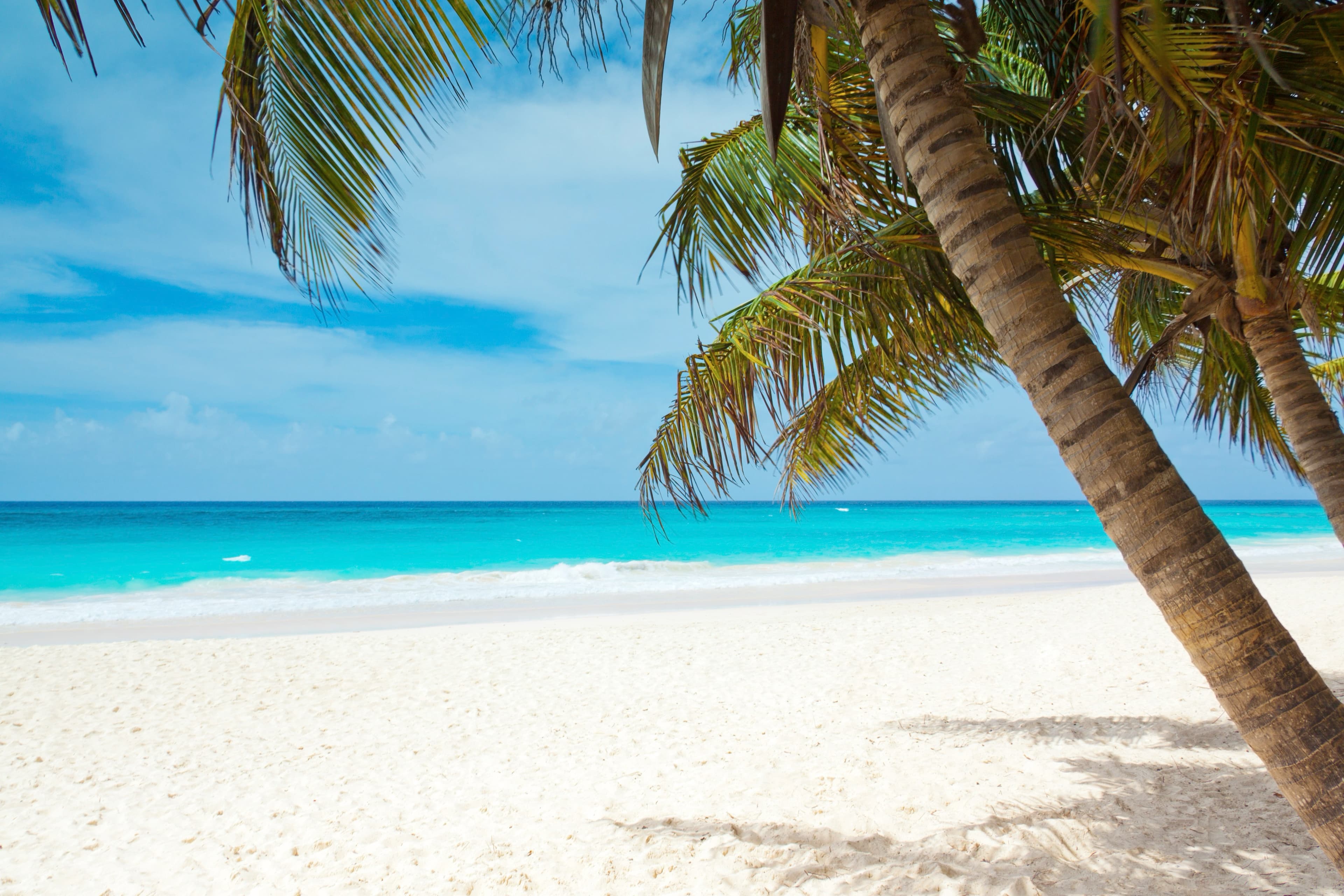 52-Day Arctic Expeditions & Southern Caribbean Harbors