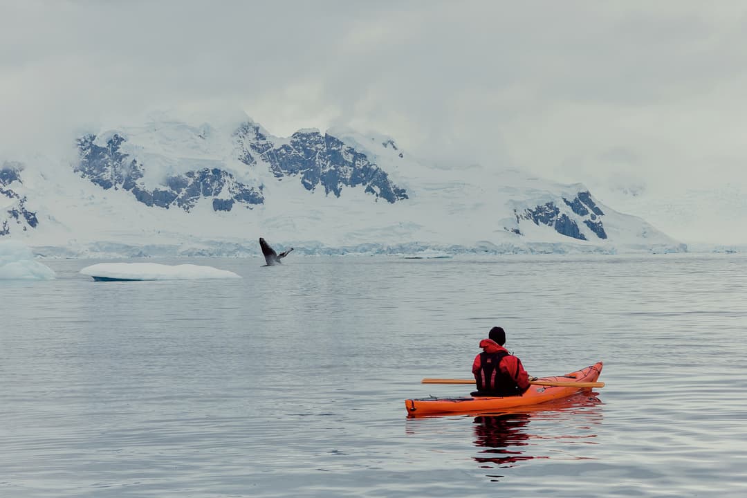 Quark Expeditions, Sea Kayaking In Antarctica 1 ©Gajan Balan
