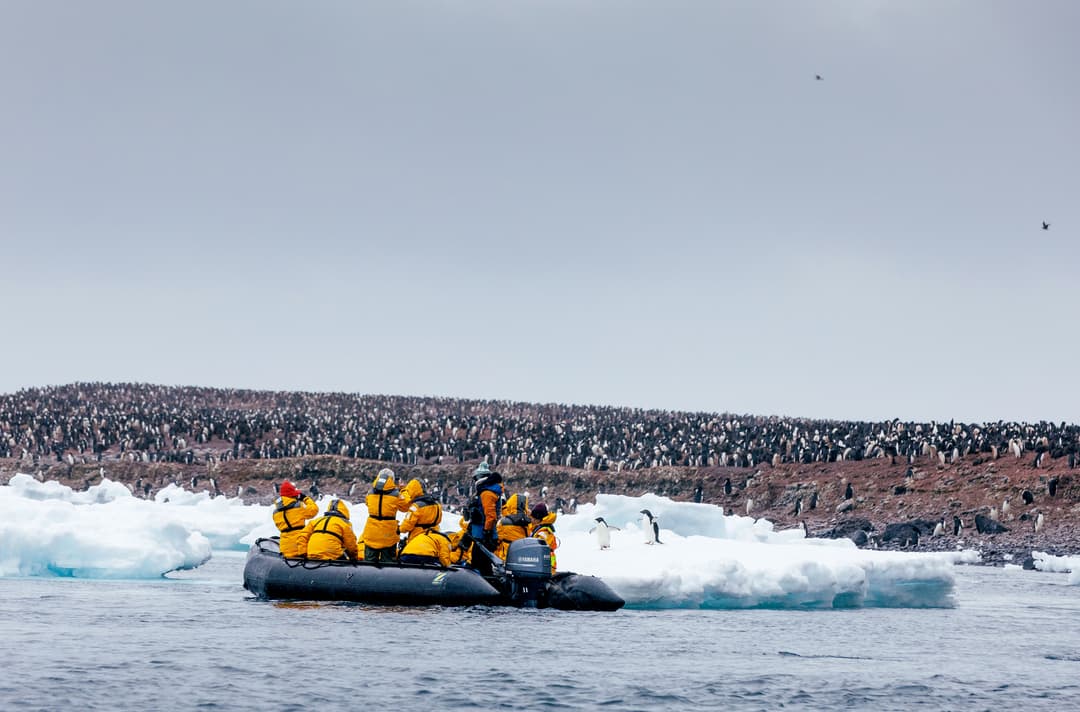 Quark Expeditions, Zodiac Cruising In Antarctica 7 ©Dave Merron