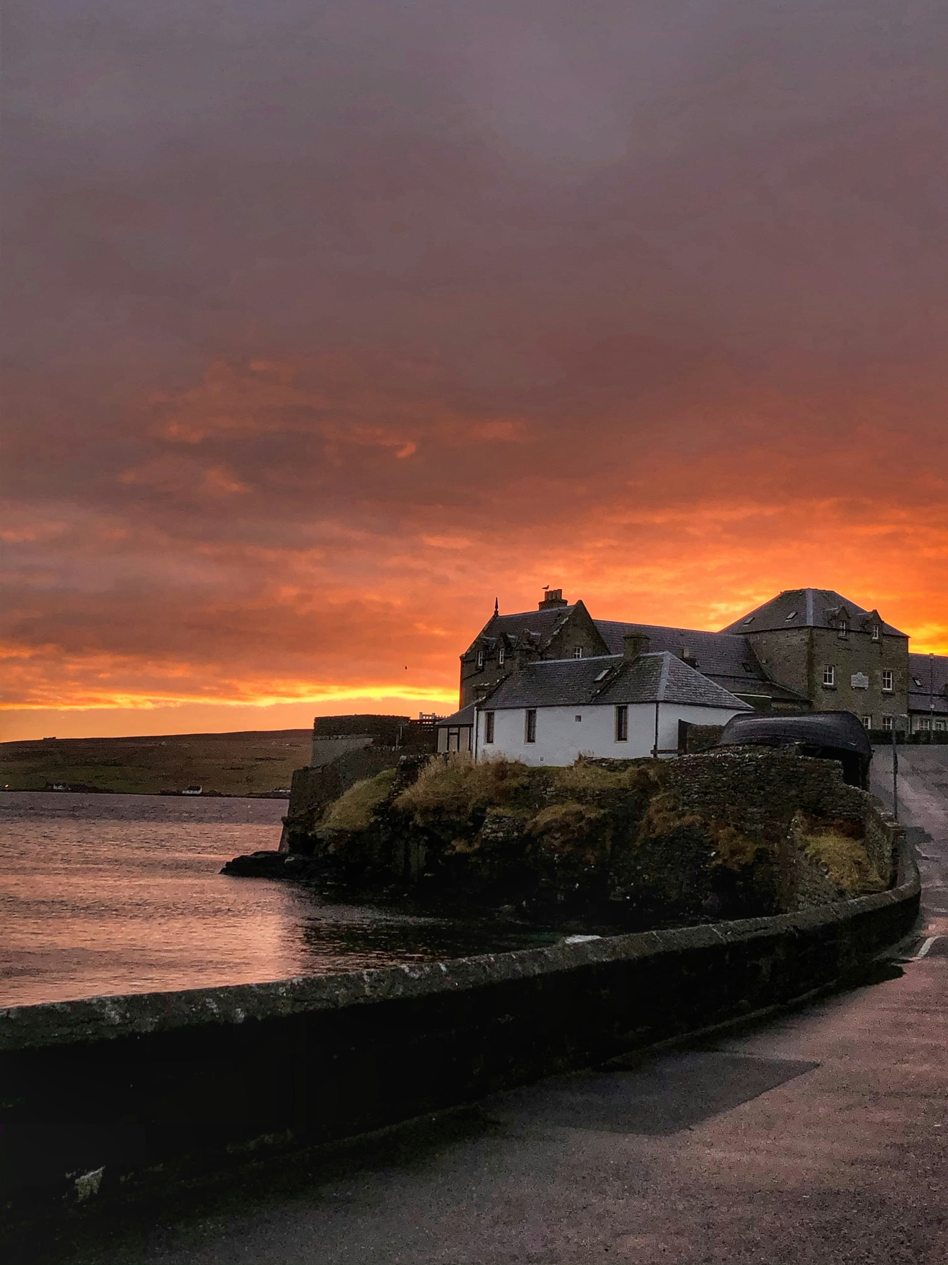 Wild Scotland