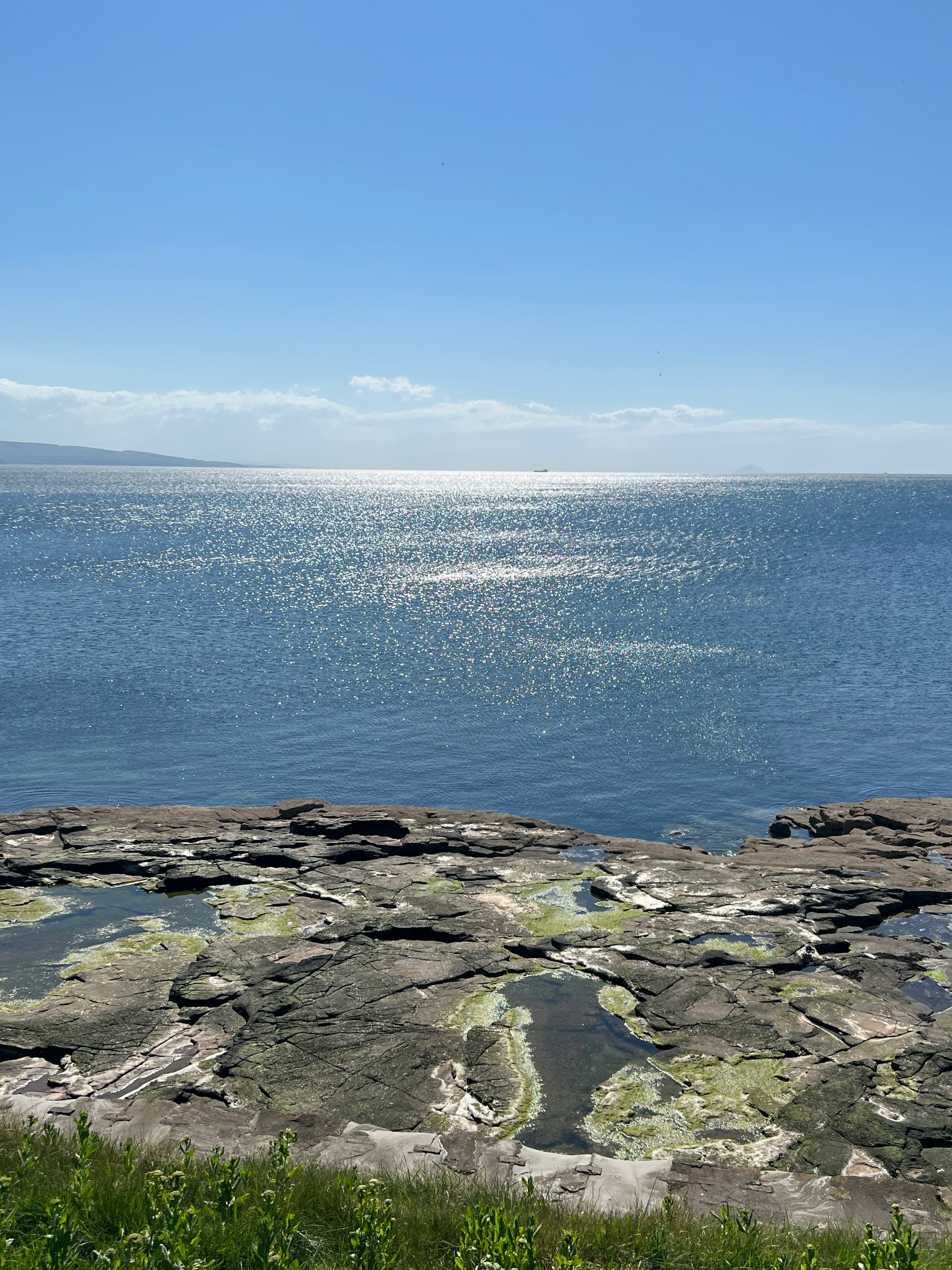 Wild Scotland