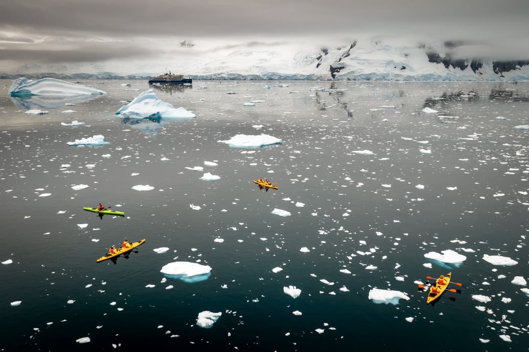 Swan Hellenic Kayaks Charlotte Bay ©Adam Laister