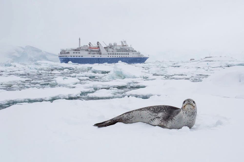 Antarctic Peninsula: The Classic Voyage