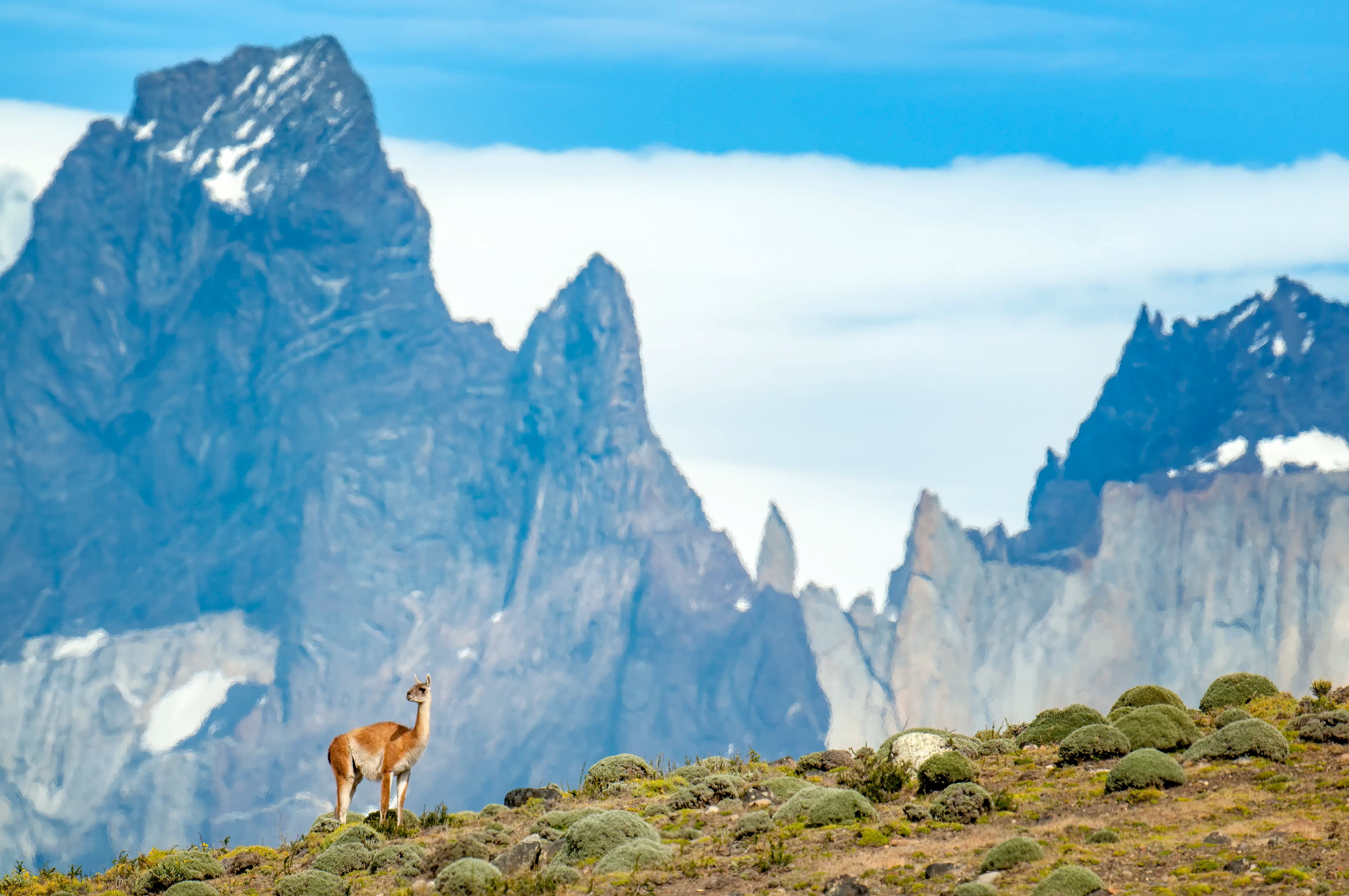 Essential Patagonia: Chilean Fjords and Torres del Paine