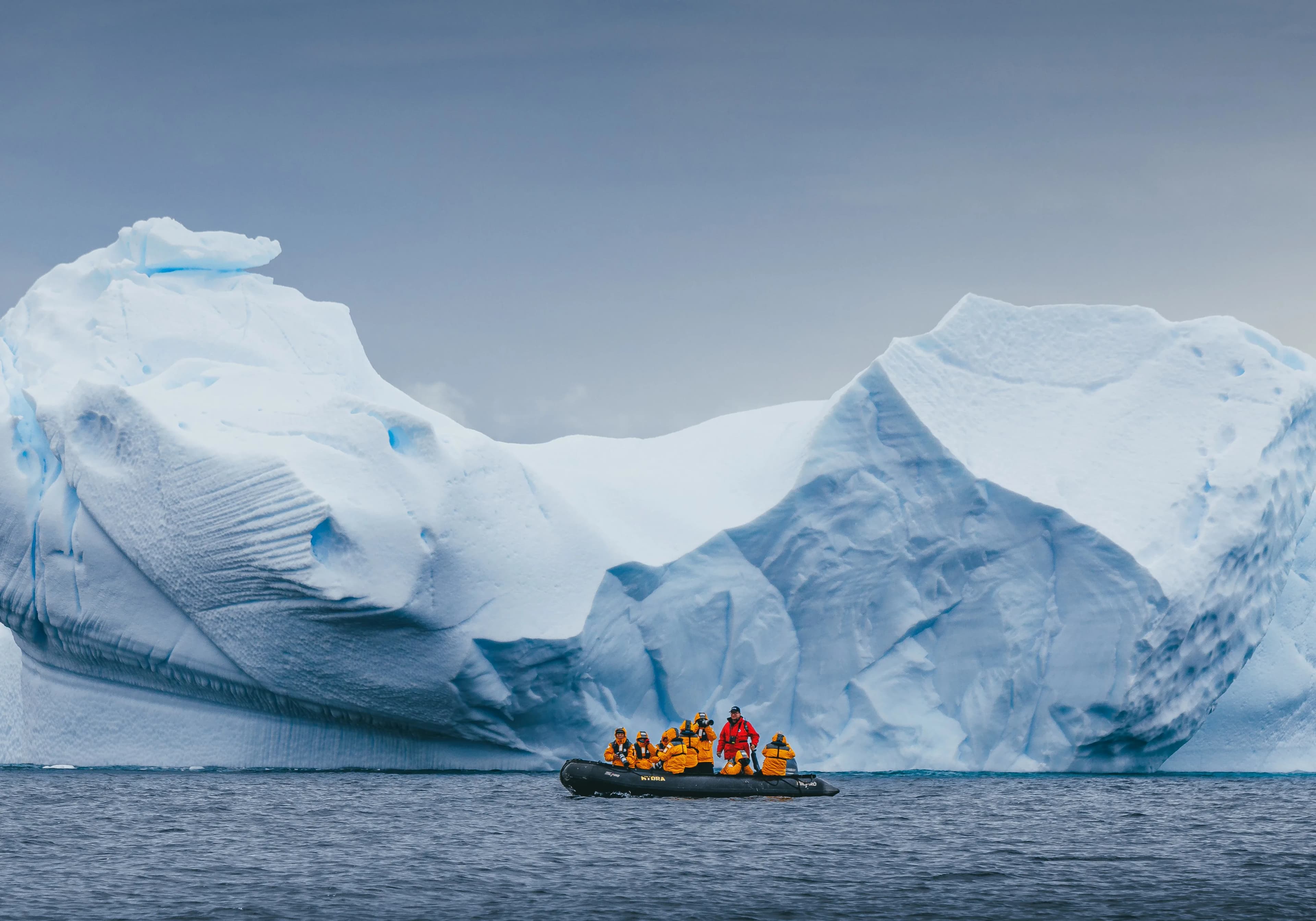 Epic Antarctica: The Falklands, South Georgia and Crossing the Circle
