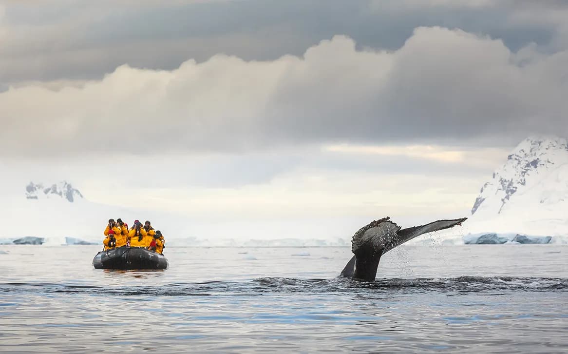 Antarctic Express: Crossing the Circle