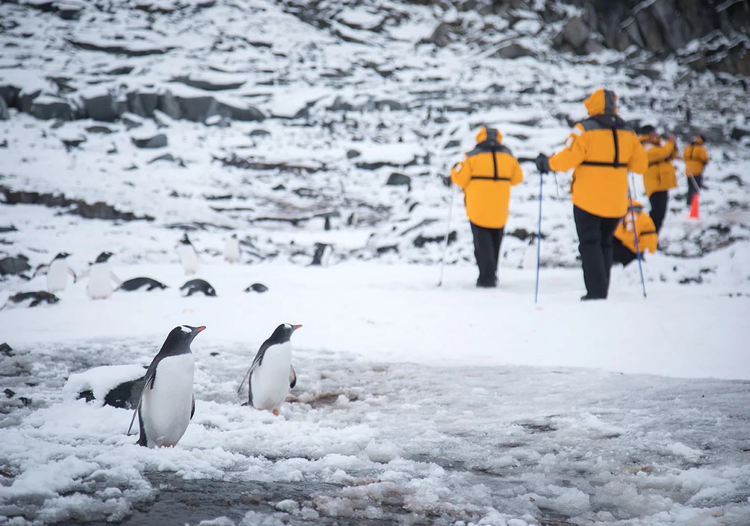 Antarctic Express: Crossing the Circle