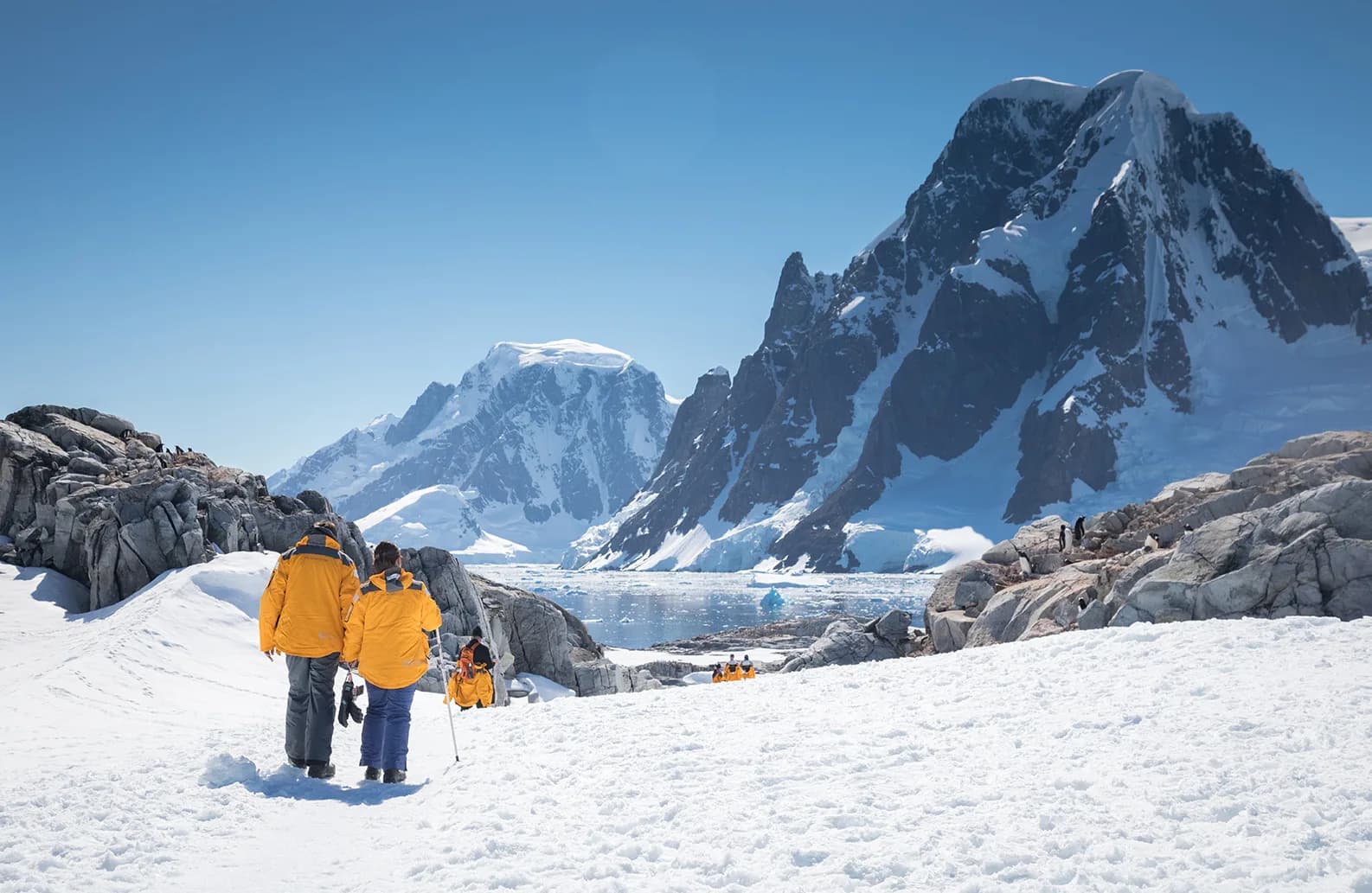 Epic Antarctica: The Falklands, South Georgia and Crossing the Circle