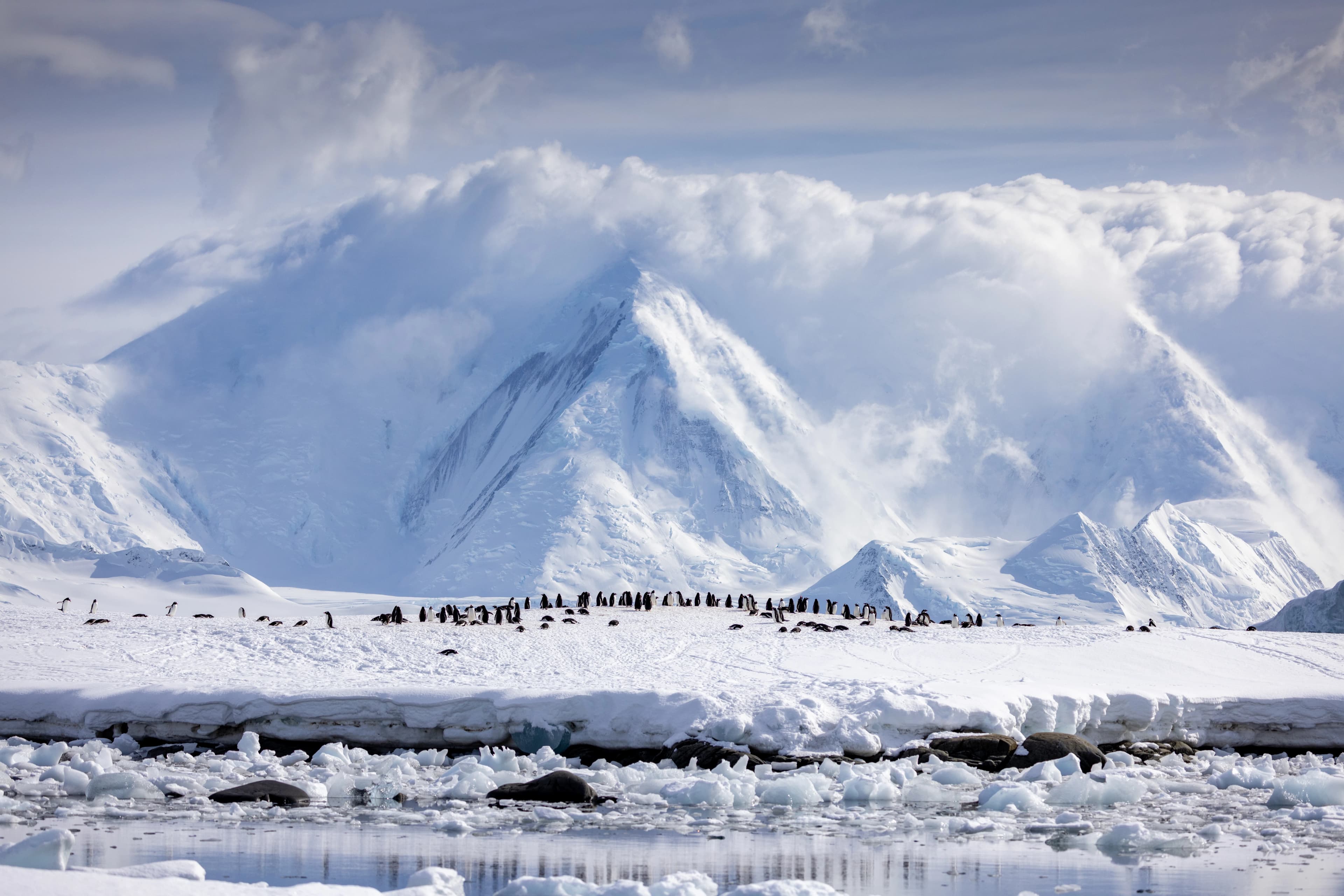 Snow Hill to the Peninsula: Shackleton's Emperors