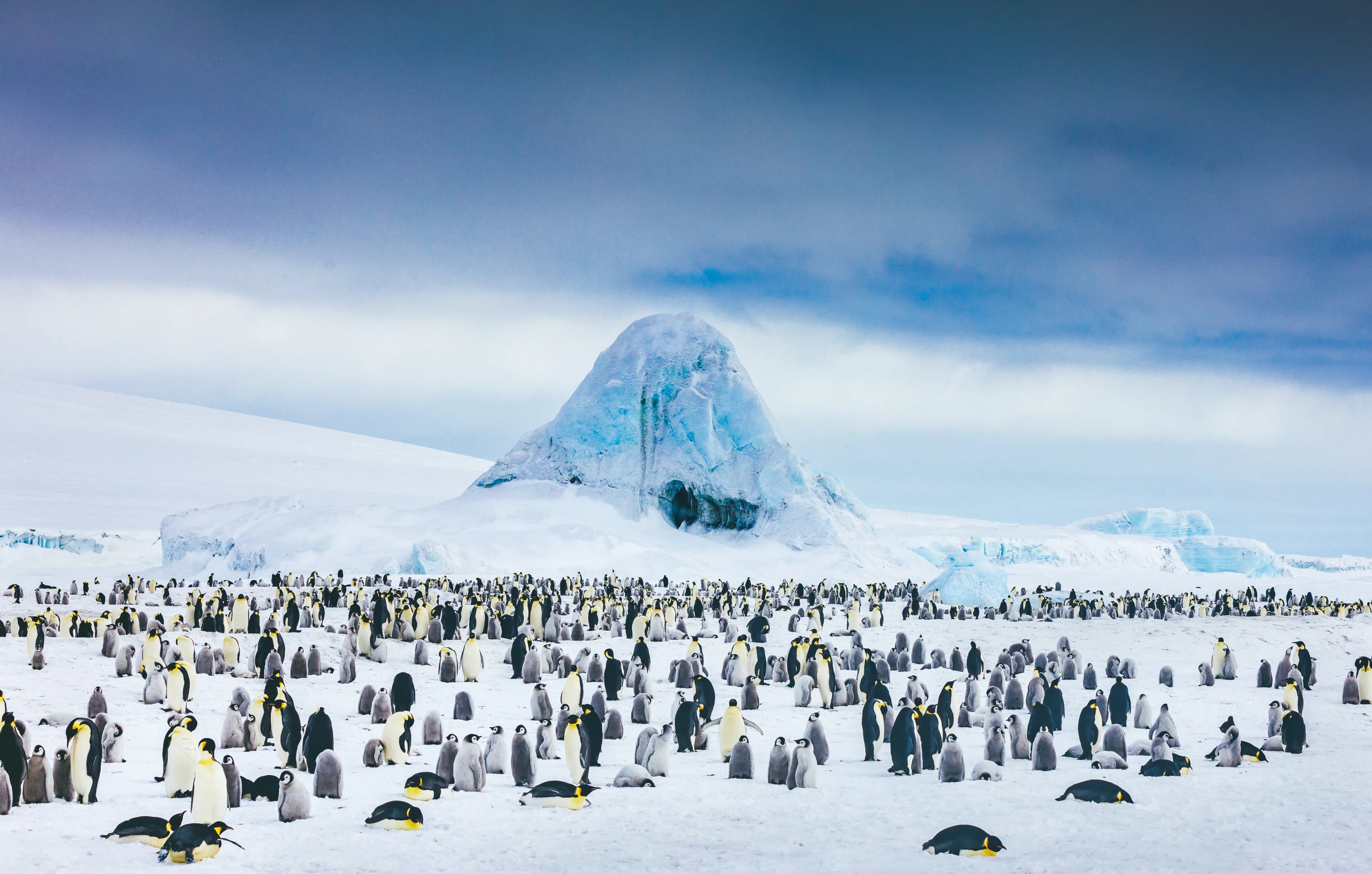 Snow Hill to the Peninsula: Shackleton's Emperors