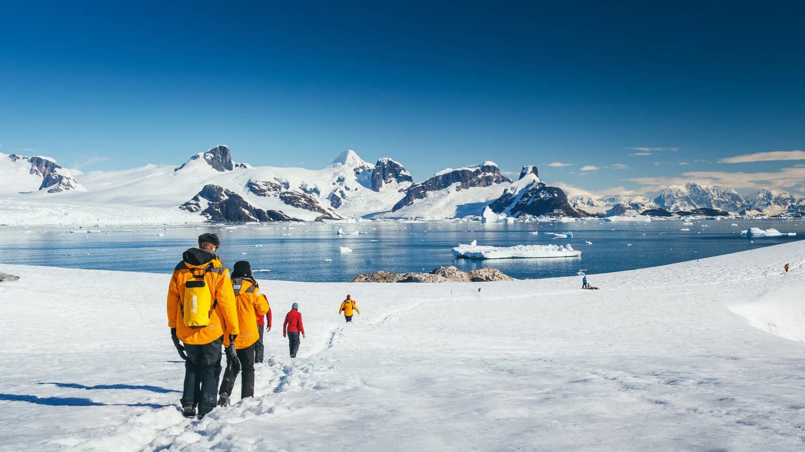 Antarctic Explorer: Discovering the 7th Continent