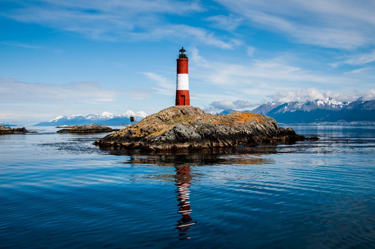Echoes of the Deep - Whale Voyage aboard Terra Nova Adventurer